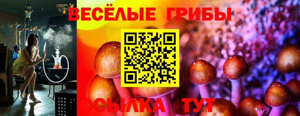 Псилоцибиновые грибы Magic Shrooms  как найти наркотики  Вход с VPN  Тамбов  Галлюциногенные грибы Magic Shrooms 